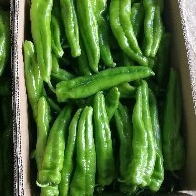 精品鲜辣椒上市，螺丝椒上市供应全国！辣椒主产区可视频看货