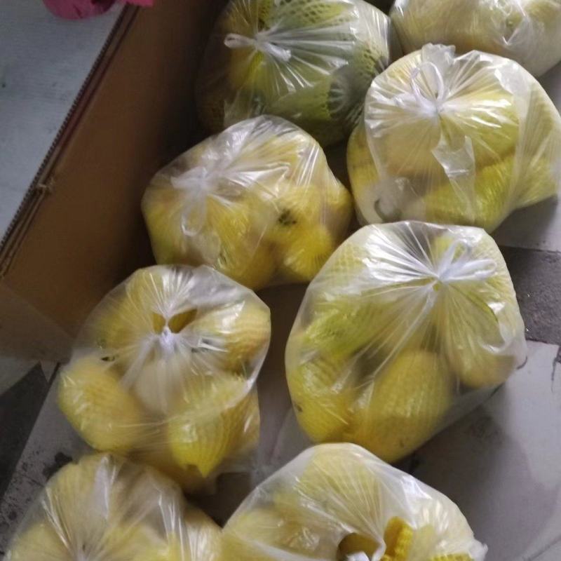 瓜果类