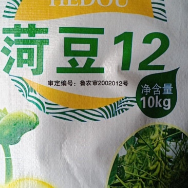 荷豆12大豆种子抗病毒病抗倒伏产量高欢迎大家购买