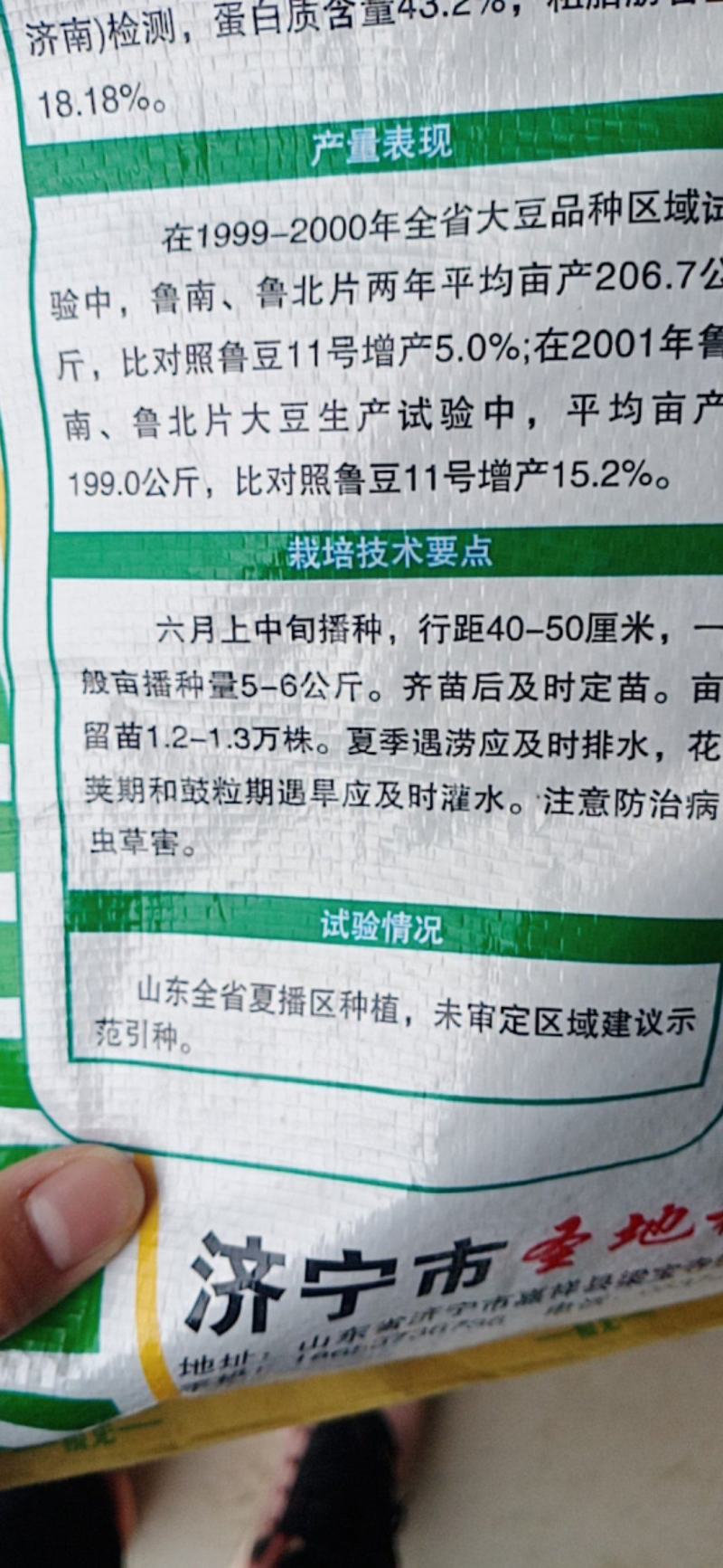 荷豆12大豆种子抗病毒病抗倒伏产量高欢迎大家购买