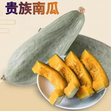 新西兰，贵族丑瓜大量上市，价格便宜需要联系！！！
