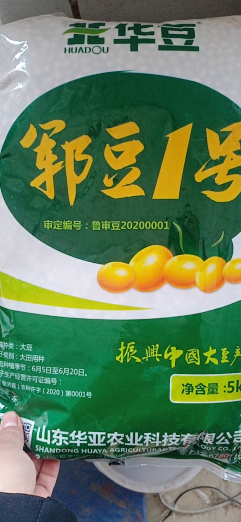 郓豆一号大豆种抗花叶病毒，高产量，叉多，值得大家选购