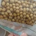 郓豆一号大豆种抗花叶病毒，高产量，叉多，值得大家选购