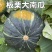 【荐】河北精品板栗南瓜粉面香甜供应市场商超社区团购