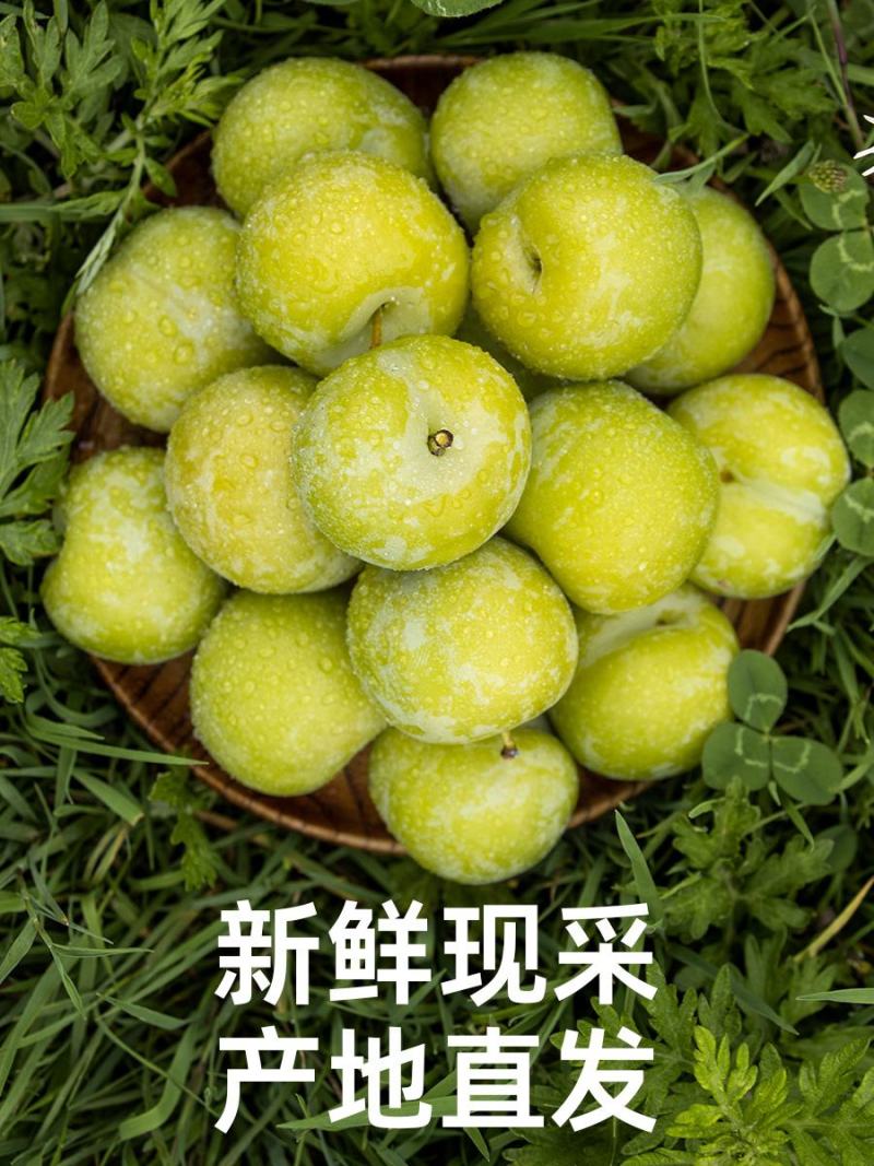青脆脱核李