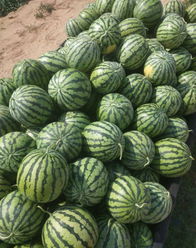 河南夏邑县，已经开始上市了，产地西瓜，产地直发，