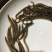 优良中华刺鳅大刺鳅刀鳅刺鳅水花全国发货空运