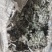 绵茵陈（白蒿子）山东临沂产地直销，当年新货前中期货