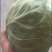 精品（兰州货）各种蔬菜实力代办，欢迎各位老板前来合作。