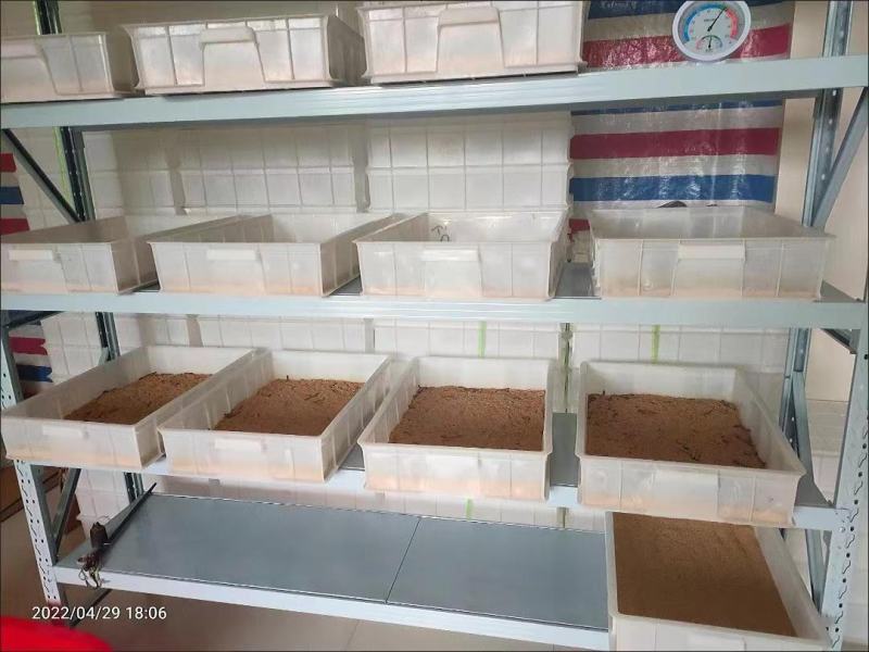 便宜处理最后几套货架置物架多层仓储藏室储物展