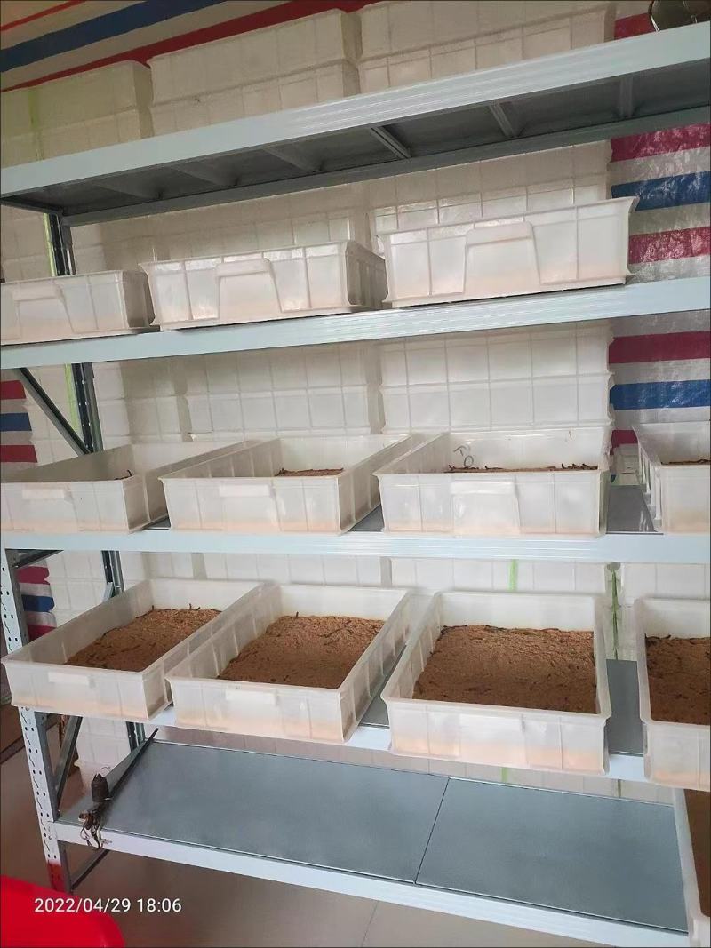 便宜处理最后几套货架置物架多层仓储藏室储物展