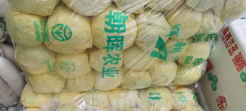 精品兰州货甘蓝实力代办，欢迎全国各地的老板前来。