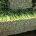 精品兰州货芹菜大量有货，欢迎全国市场老板联系