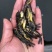 实力黄颡鱼苗淡水鱼苗厂家批发黄骨鱼苗杂交黄骨鱼苗成活率高