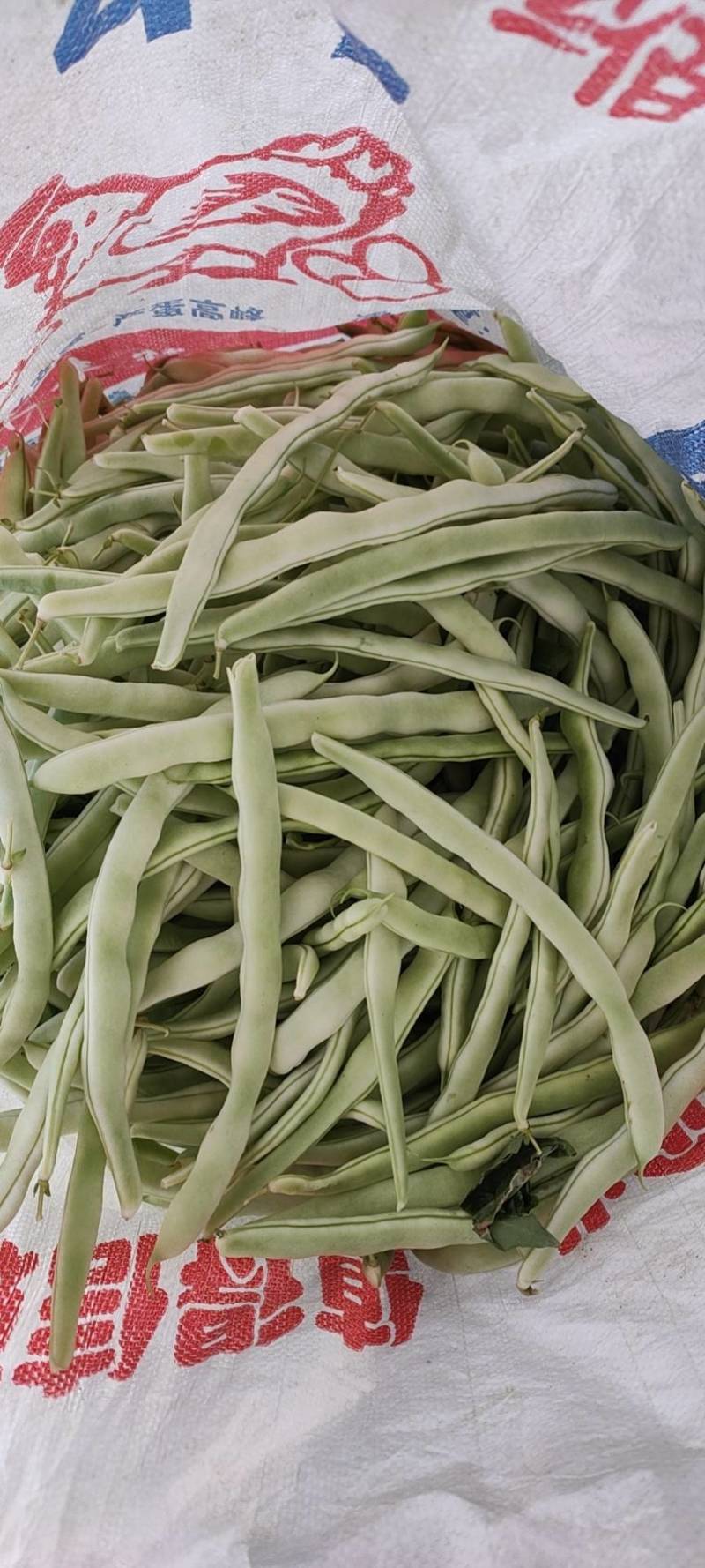 蔬菜