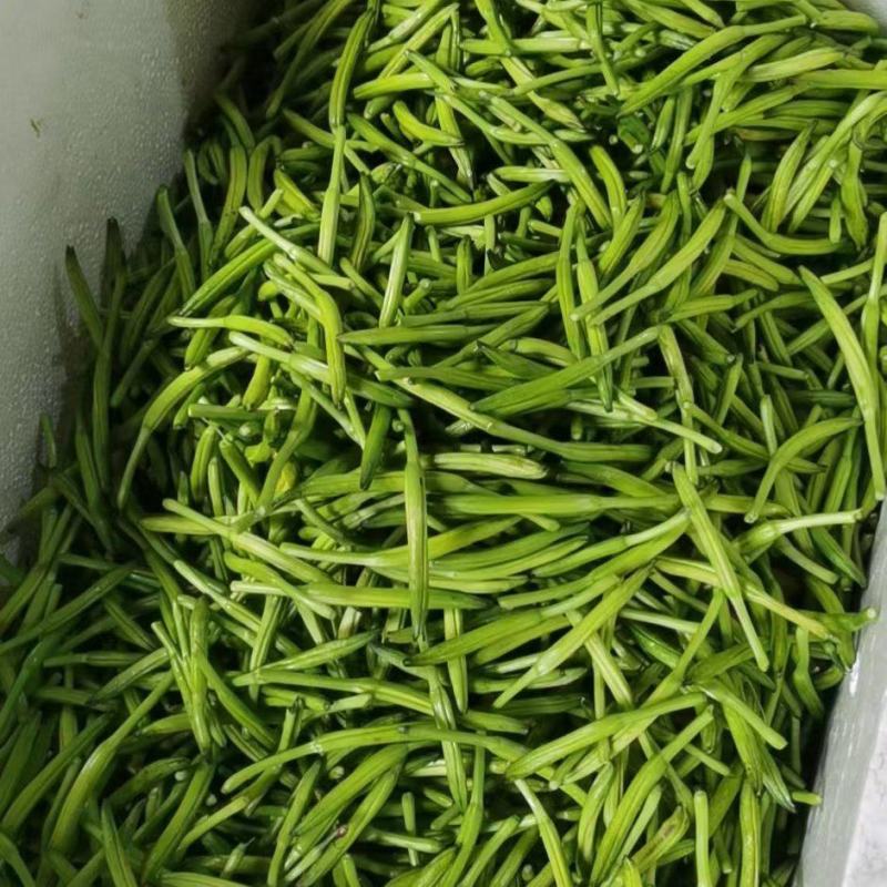 山东新鲜黄花菜大量上市啦欢迎老板咨询选购，量大优惠。