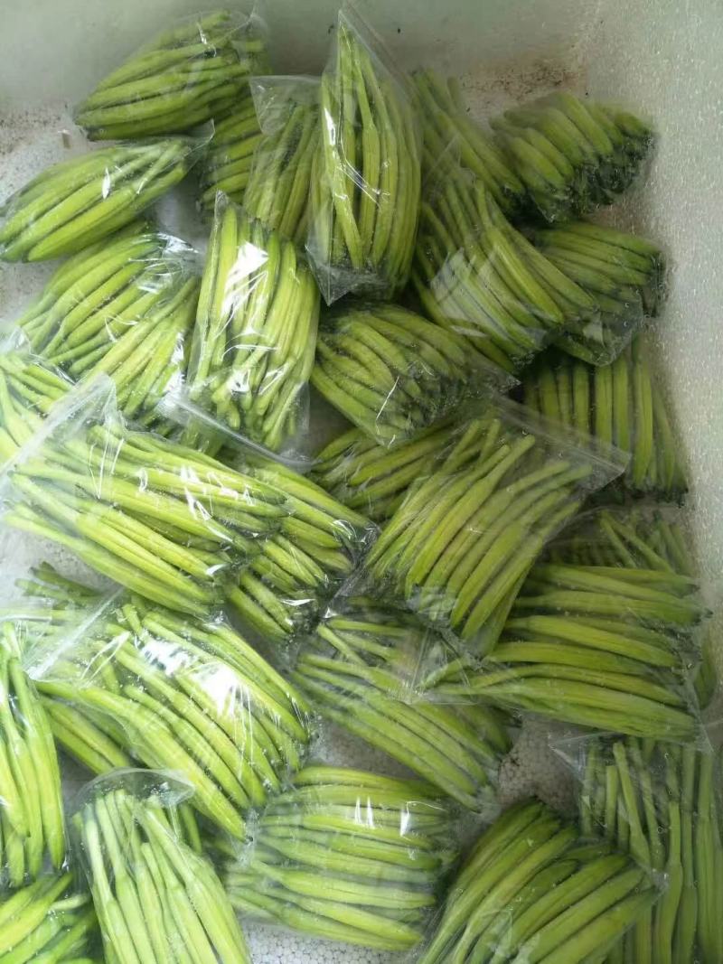 山东新鲜黄花菜大量上市啦欢迎老板咨询选购，量大优惠。