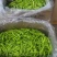 山东新鲜黄花菜大量上市啦欢迎老板咨询选购，量大优惠。