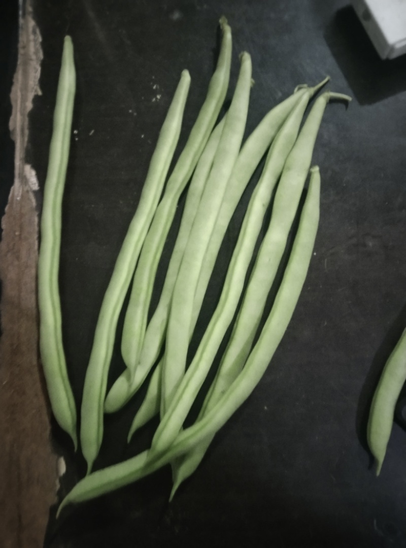 豆角豇豆。