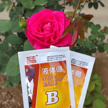 下单请联系客户，液体硼水溶肥30克/升
