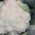 实花菜