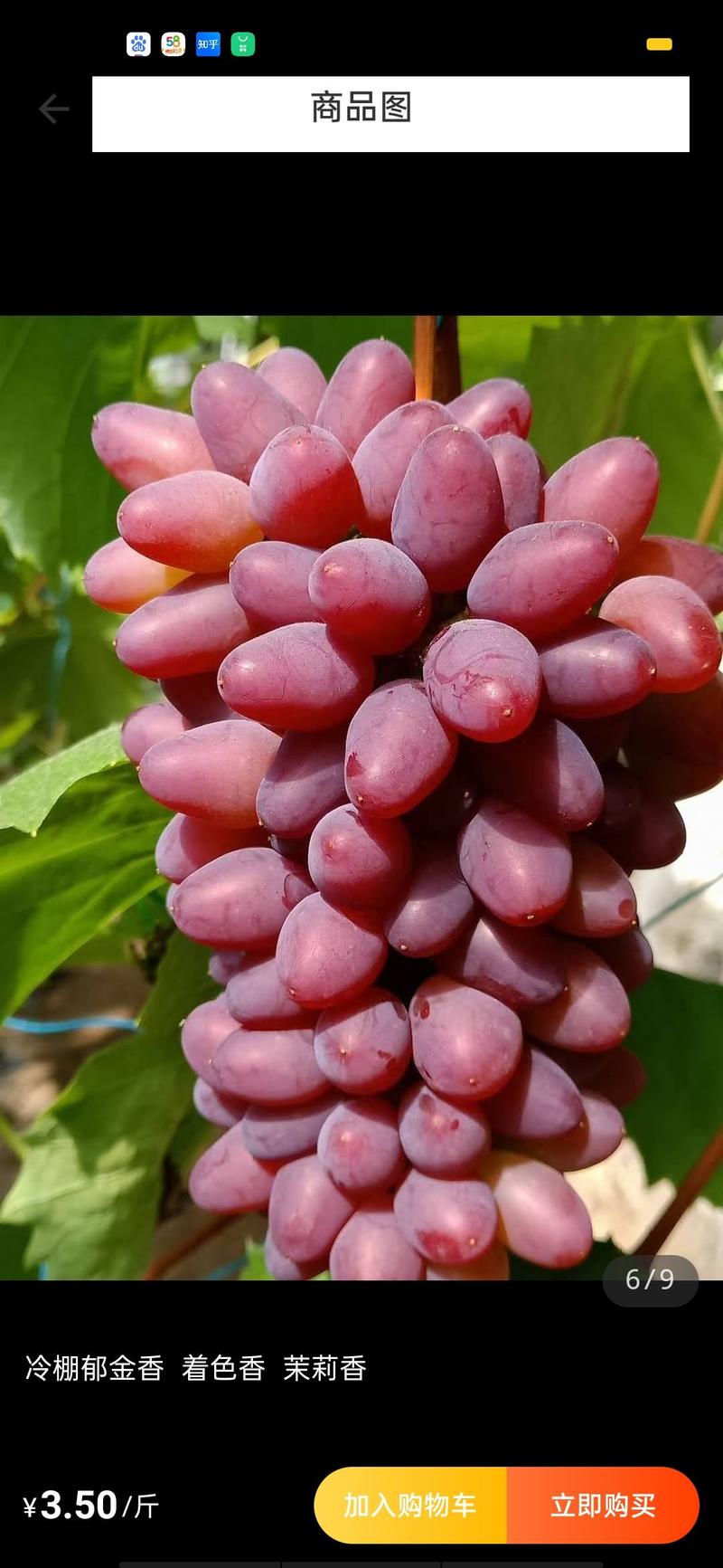 葡萄优质