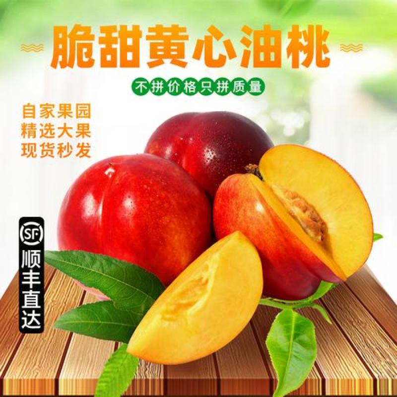 早熟露天油桃518曙光油桃50MM以上产地批发