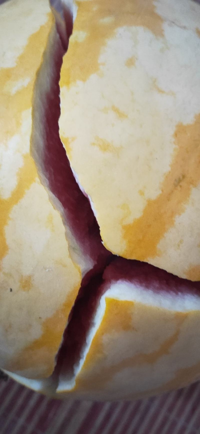 小黄人西瓜砀山万亩西瓜基本，大量上市中货源充足，质量好，