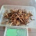 虫草精品冬虫夏草大量供应礼盒装一件代发