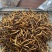 虫草精品冬虫夏草大量供应礼盒装一件代发