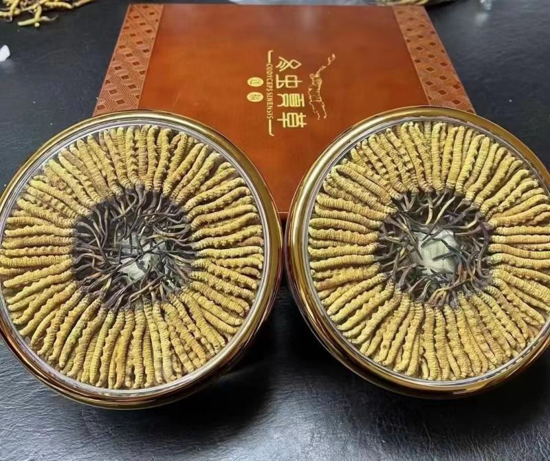 虫草精品冬虫夏草大量供应礼盒装一件代发