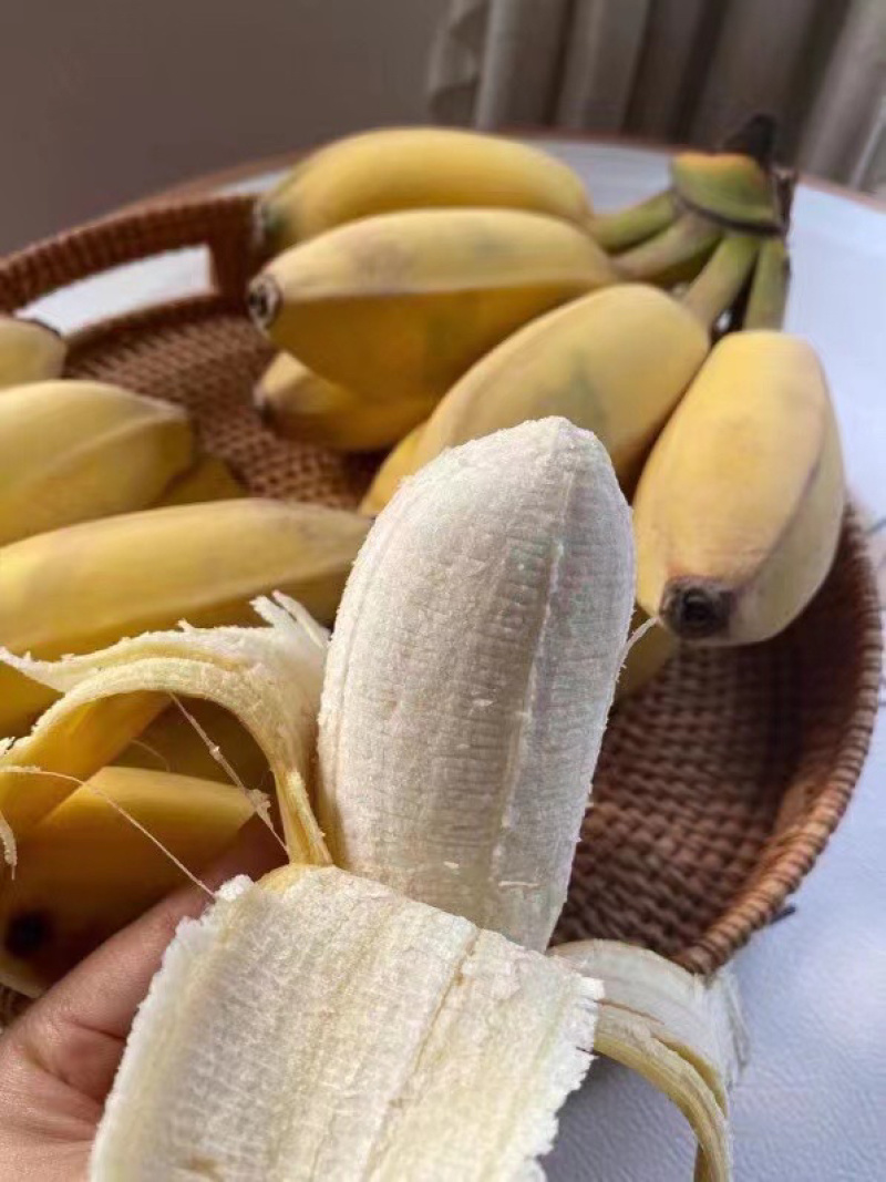广西正宗苹果蕉粉蕉糯米蕉应季果蔬新鲜采摘整箱包邮