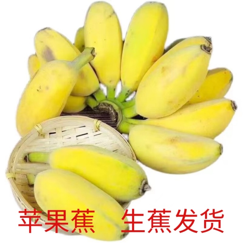 广西正宗苹果蕉粉蕉糯米蕉应季果蔬新鲜采摘整箱包邮