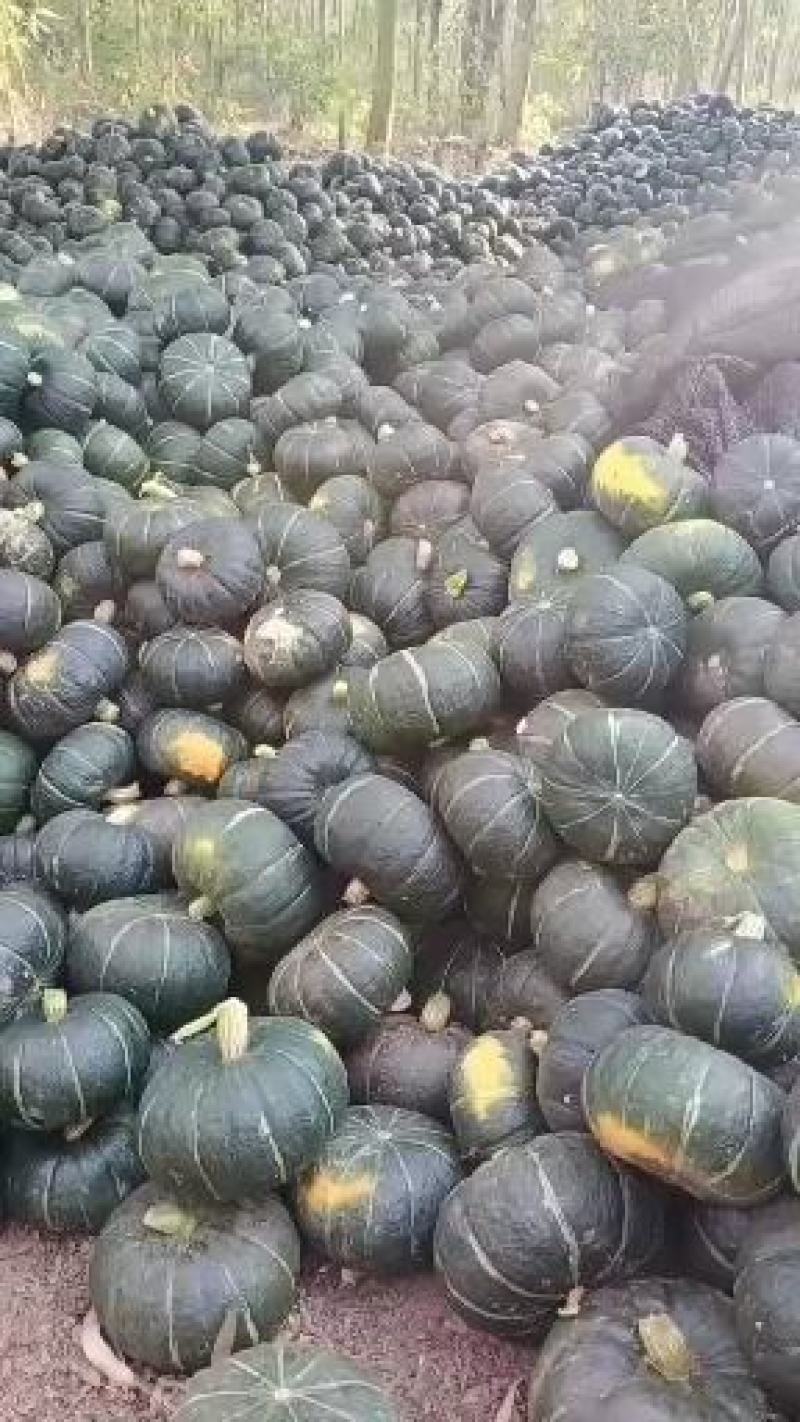 广西南宁贝贝南瓜板栗瓜，质量保证，价格优惠，工地一手货源