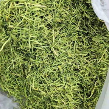 金银花茶湘蕾五号金银花茶规格齐全，产地直供，量大质优