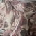 [热销]腹肉条，肋条肉，厂家直销，包质量,包服务