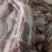 [热销]腹肉条，肋条肉，厂家直销，包质量,包服务
