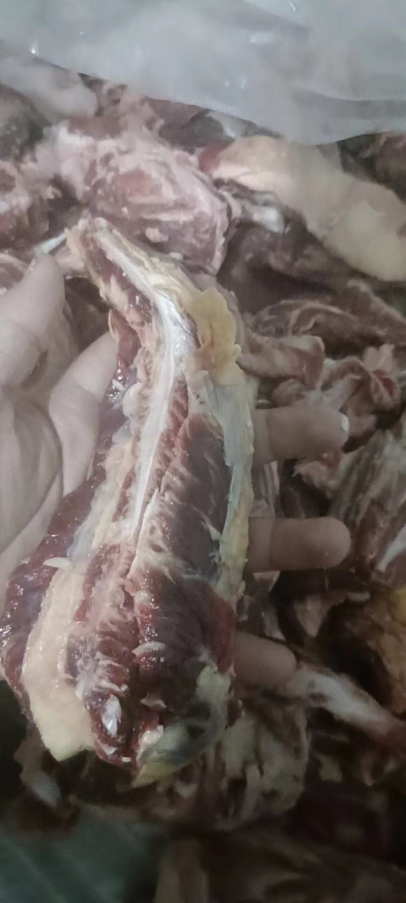 [热销]腹肉条，肋条肉，厂家直销，包质量,包服务