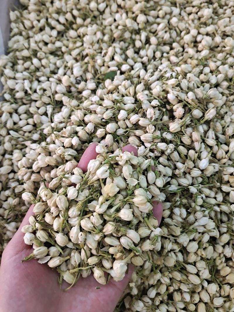 茉莉茉莉花茉莉花干无硫无杂质茉莉花地道中药材