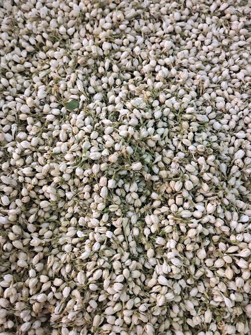 茉莉茉莉花茉莉花干无硫无杂质茉莉花地道中药材