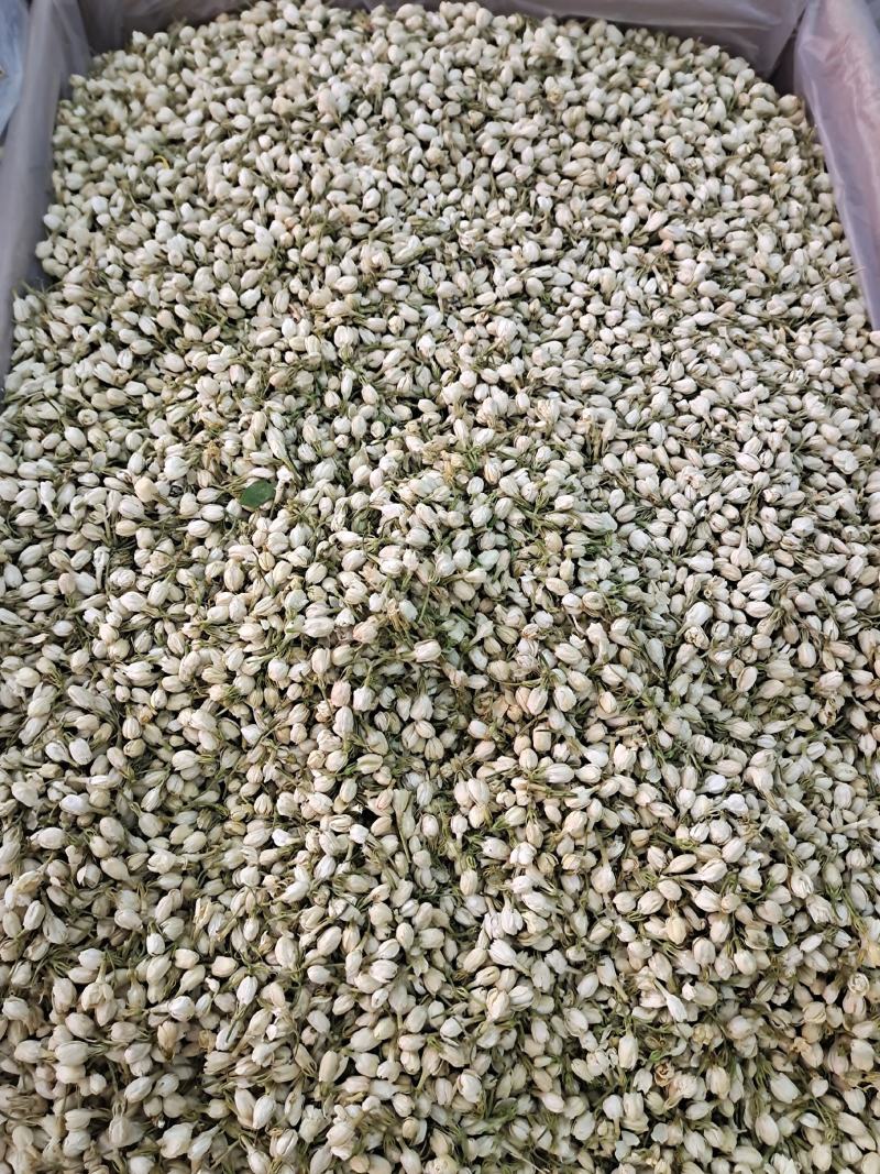 茉莉茉莉花茉莉花干无硫无杂质茉莉花地道中药材