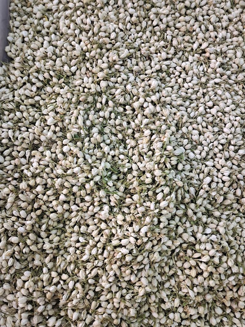 茉莉茉莉花茉莉花干无硫无杂质茉莉花地道中药材