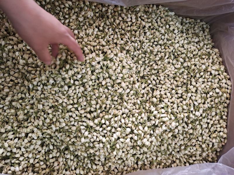 茉莉茉莉花茉莉花干无硫无杂质茉莉花地道中药材