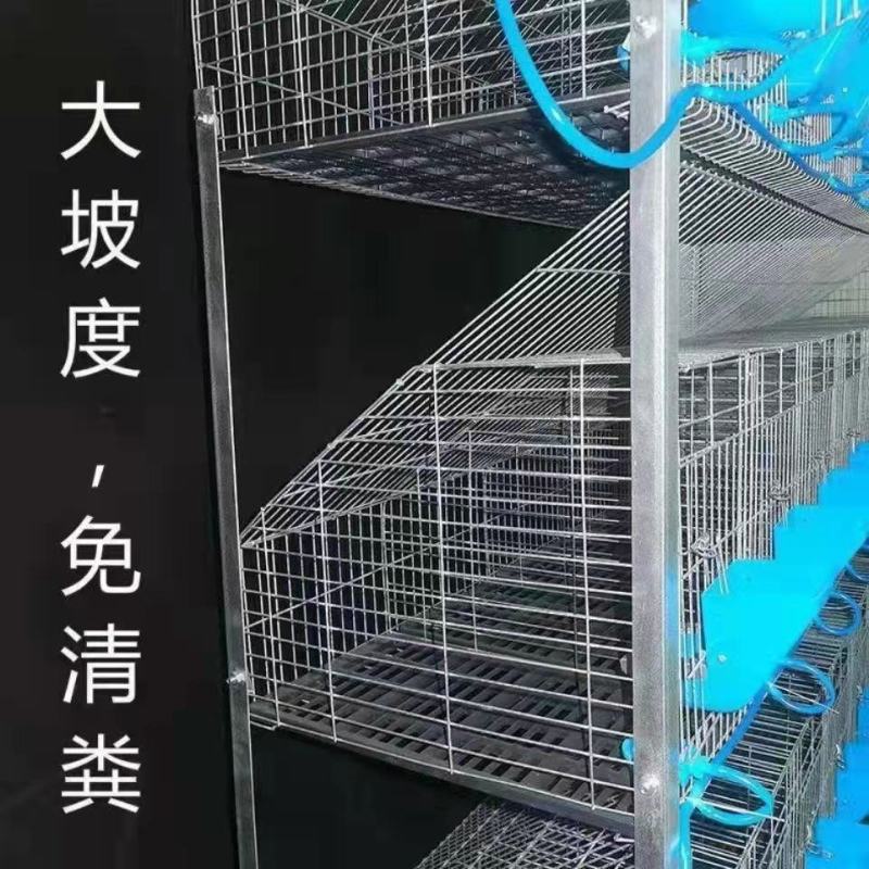 加粗热镀兔笼子母兔子笼加粗12位母兔笼防锈繁殖母兔小兔笼