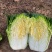 大白菜