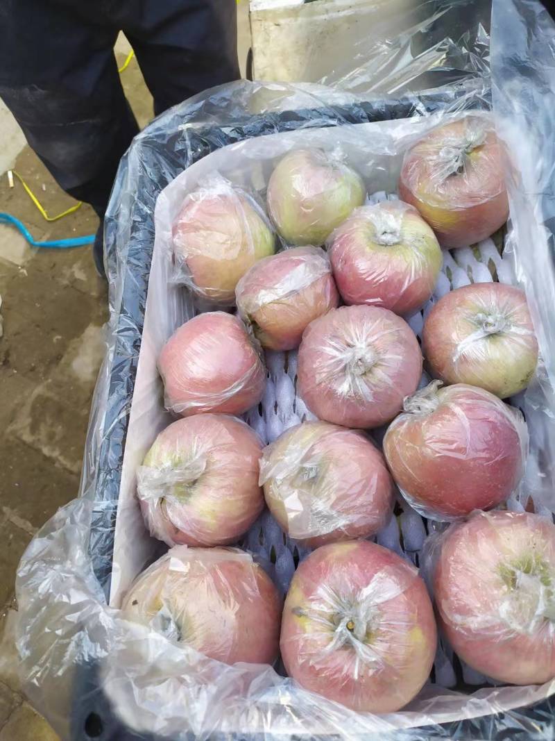 山西膜袋，本地膜大量有货货好价不高