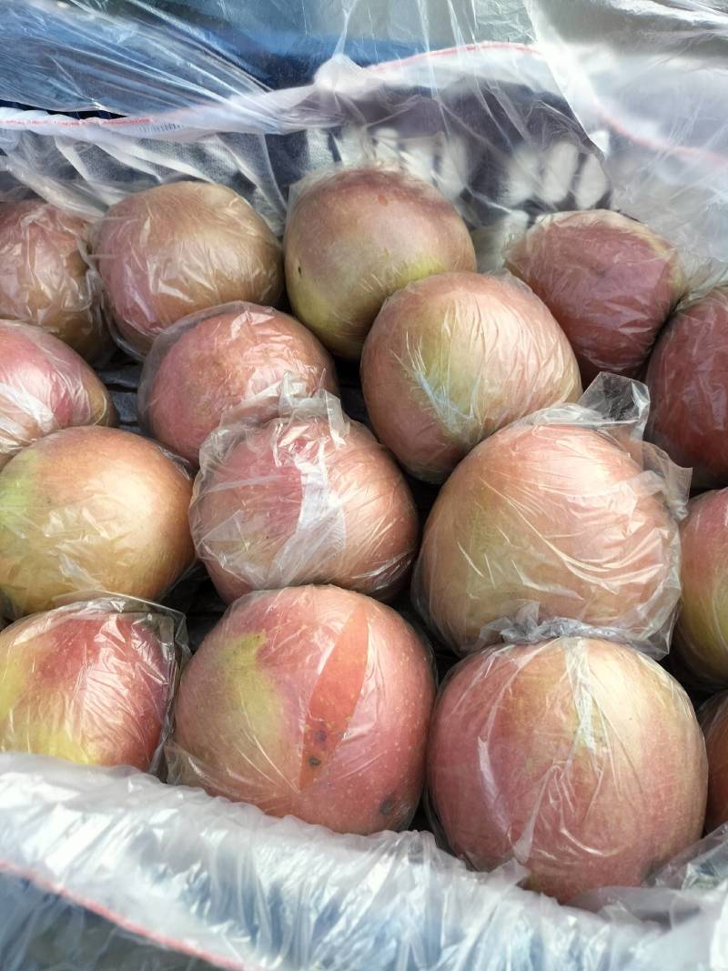 山西膜袋，本地膜大量有货货好价不高