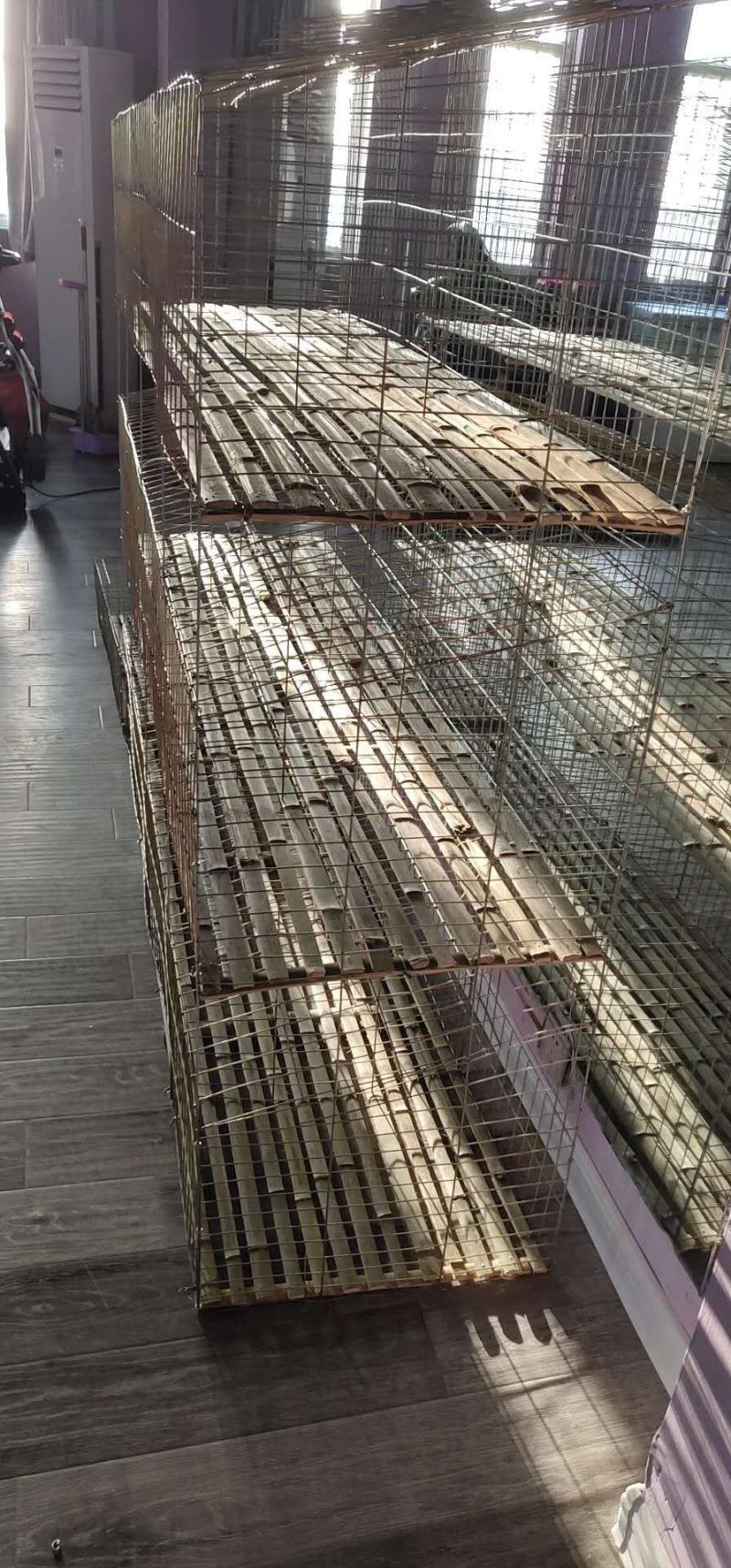 厂家批发三层12位商品兔笼批发母兔笼养殖笼免清粪新型兔