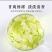 茉莉茉莉花茉莉花干花无硫无添加茉莉地道中药材茉莉