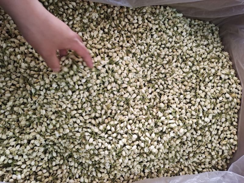 茉莉茉莉花茉莉花干花无硫无添加茉莉地道中药材茉莉
